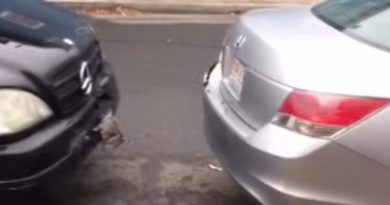14889093589174 800x420 1452616418 He Went Out To Assess The Damage She Did To His Car...But She Definitely Wasn't Done
