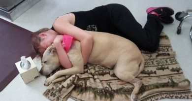 14889093904114 800x420 1472485624 Woman Shares One Last Day With Her Best Friend Before Making A Difficult Decision