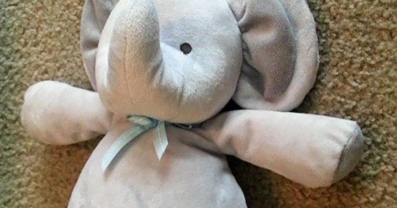 14889094228719 800x420 1467772555 When He Lost His Toy, His Parents Told Them It Was Traveling -- Then This Happened