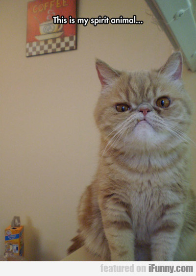 14899403594701 This Is My Spirit Animal