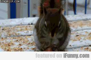 14950378162927 emwk9ta20e What You Enjoy Watching Me Eat, Mate?