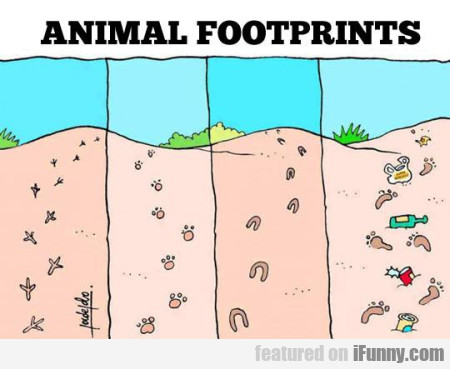 14960745882299 Animal Footprints