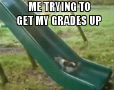 15007400911241 vr39w Me trying to get my grades up