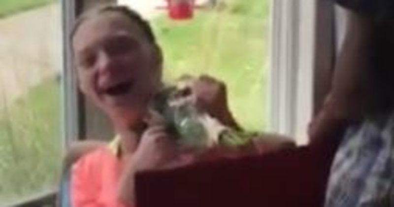 15007400967103 800x420 1494345161 Girl With Cerebral Palsy Is Overtaken With Joy When A Friend Asks Her This Question