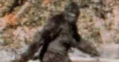 15025545133324 800x420 1474045725 He Was Stranded In The Woods And Recorded Nearly 20 Minutes Of Bigfoot Noises