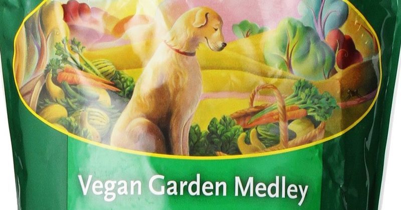 15035048903512 800x420 1500991104 Some People Are Extending Their Vegan Diets To Their Pets -- Is That Safe?