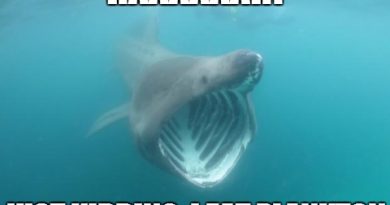15052328911923 4d7m1 While preparing for my Shark hangout tomorrow, some of my panel and I got into a meme war. This one won. (r/funny)