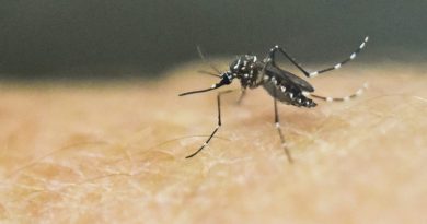 15057512855583 800x420 1477336166 You've Probably Heard About Zika, But This Is What You Really Need To Know