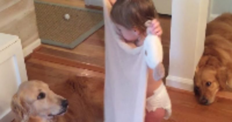 15059240823291 800x420 1456437793 Instead Of Hogging The Towels After Her Bath, This Girl Does Something Precious