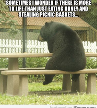 15063560985655 1w2diregib Sometimes I Wonder If There Is More To Life Than..