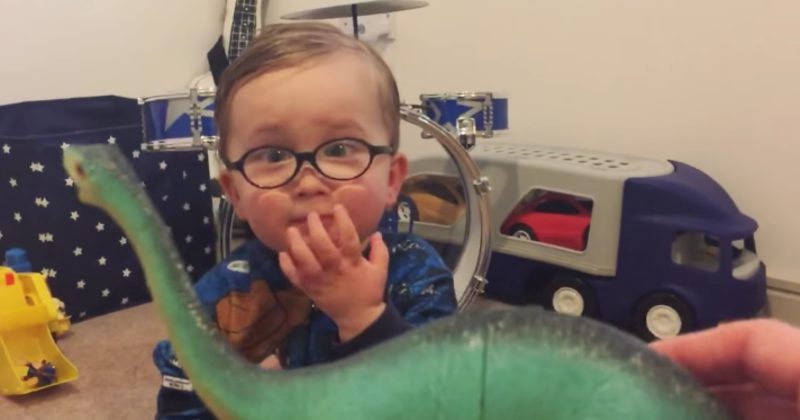15074793274036 800x420 1474399011 Are You Smarter Than A 2-Year-Old? Maybe Not This Intelligent Cutie!