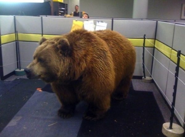 15082569105234 office pranks17 These 17 Office Pranks Are So Hysterical. But The First One Is Just Mean. LOL.