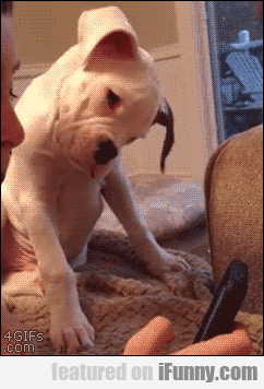 15090344817578 1866o2nouj Who Is That Funny Person On Your Phone?
