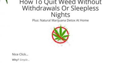 1509875693 d41d8cd98f00b204e9800998ecf8427e Quit Weed | How To Quit Marijuana With Seb Grant