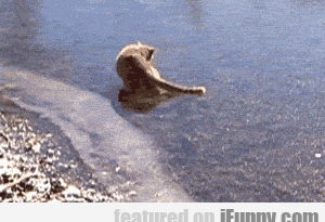 15105897234755 zzf3h0mj5f What Is This Slippery Stuff?
