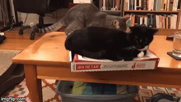 15106760771844 1tdajw Well If I Can't Sit On It Too, Neither Will You! ^.^
