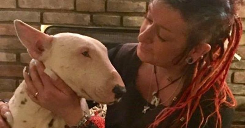 15108489954667 800x420 1489423841 This Dog Is Blind But He Wasn't Born That Way...How He Got Here Is Heartbreaking