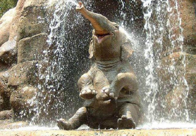 15134408881943 baby elephant I Just Died Watching What These Baby Elephants Do. It's Literally Impossible Not To Love This.