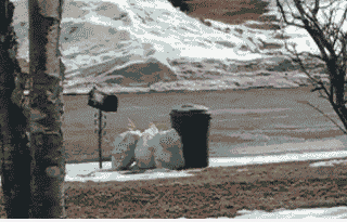 15137000915819 4aqhuzhh2t Angry Garbageman