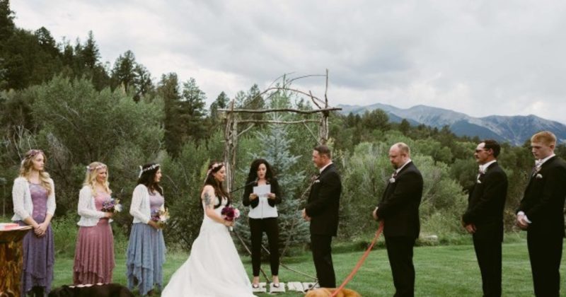 15157737119576 800x420 1474292759 This Old Dog Knew He Wanted To Live Long Enough To See His Mom Get Married
