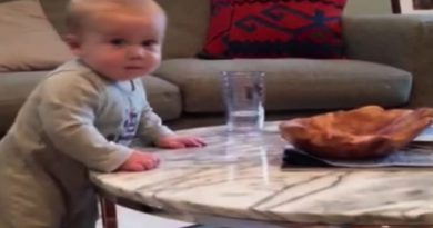 15161192953351 800x420 1480445530 This Little Kid Really Loves Pushing His Mother's Buttons -- Too Cute