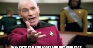 15165512752826 70h5p Picard Wtf