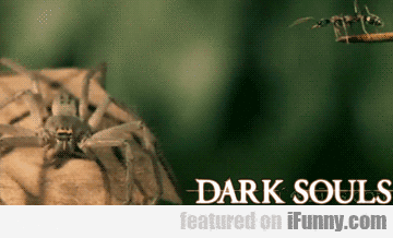 qpsqb7j077 Dark Souls Exists In Nature