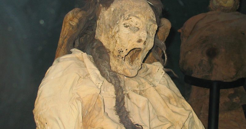 15204393031069 800x420 1476910754 There's A Screwed-Up Reason These Mummies' Faces Look So Twisted
