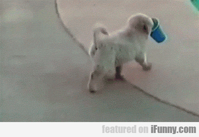 1523463271161 tvqjtz439d He’s Got A Serious Drinking Problemâ€¦