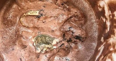 15236360745695 800x420 1510787836 This Is Definitely Not What You Want To Find When You Dig Into Chocolate Ice Cream
