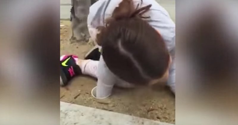 15245001132269 800x420 1460991879 This Little Girl Is The Only One Small Enough To Rescue Sweet Baby Ducks -- Wow! 15245001132269 800x420 1460991879 This Little Girl Is The Only One Small Enough To Rescue Sweet Baby Ducks -- Wow!