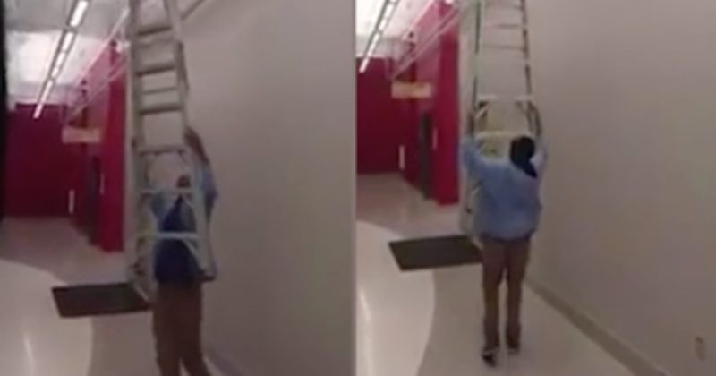 15248457057894 800x420 1484841771 They Told Him To Get A Ladder To Reach Something...And This Is What He Did With It
