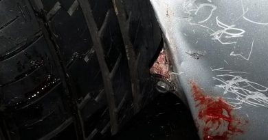 15249320786311 800x420 1472825111 Something Terrifying Ripped This Guy's Car Apart In His Driveway