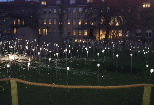 15267464874695 6t1nu Field of Light