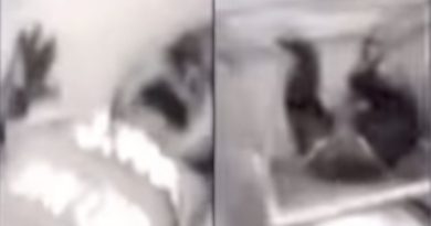 15295976859329 800x420 1502509770 This Baby Was Left Shrieking In Terror After Cruel Babysitters Did Something Horrific