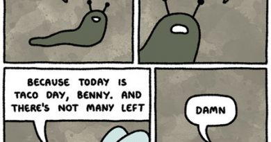 15297704946185 n3n82rtjhf The Dangers Of Taking Life Too Slowly