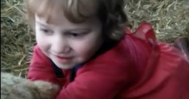 15304616811468 800x420 1488242477 Little Girl Delivers A Lamb, And She's Way Cooler Than All Of Us