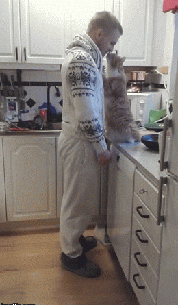 15309800885695 1njhot Kitty Kisses