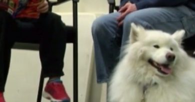 15383240385629 800x420 1481563183 He Was Struggling And Didn't Want To Read Books Until He Met A New Furry Friend