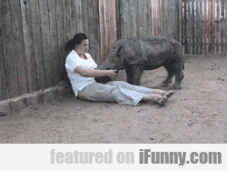 Baby Rhino Just Wants To Cuddle