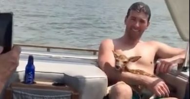 15384968342329 800x420 1468936940 They Were Boating On The Lake When They Saw Something Bobbing In The Water