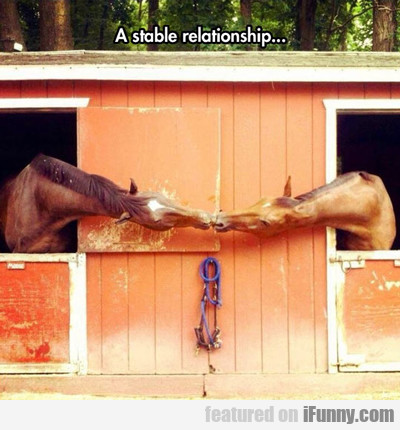 A Stable Relationship...