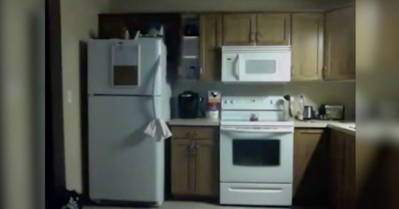 154730962939 800x420 1475161647 This Person Might Want To Start Leaving Out Snacks For Their Paranormal Friends