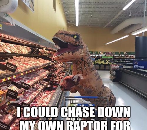 1548519228282 2cc7pg Shopping with Rex, Ep 1
