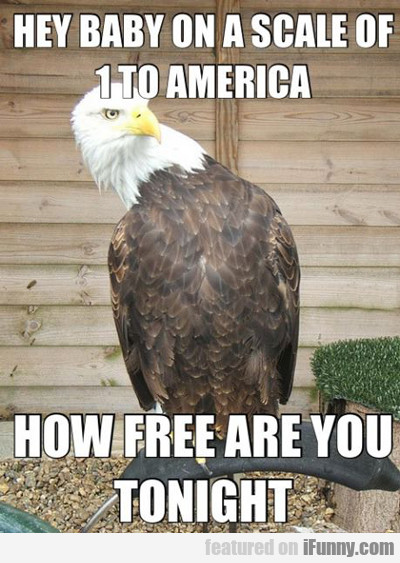 Hey Baby On A Scale Of 1 To America...