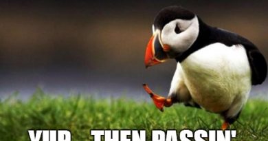 15531848472952 8d6et Unpopular Opinion Puffin