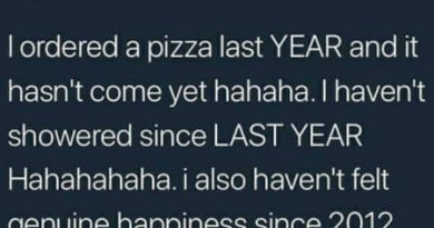 15560360374542 jfr7rupfzt I Ordered A Pizza Last Year And It Hasn't Come...