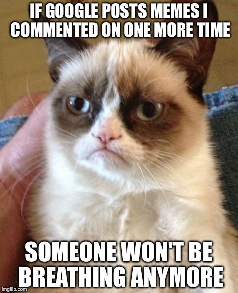 Grumpy Cat